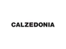 Logo de Calzedonia